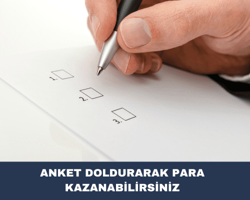 anket doldurarak internetten para kazanma