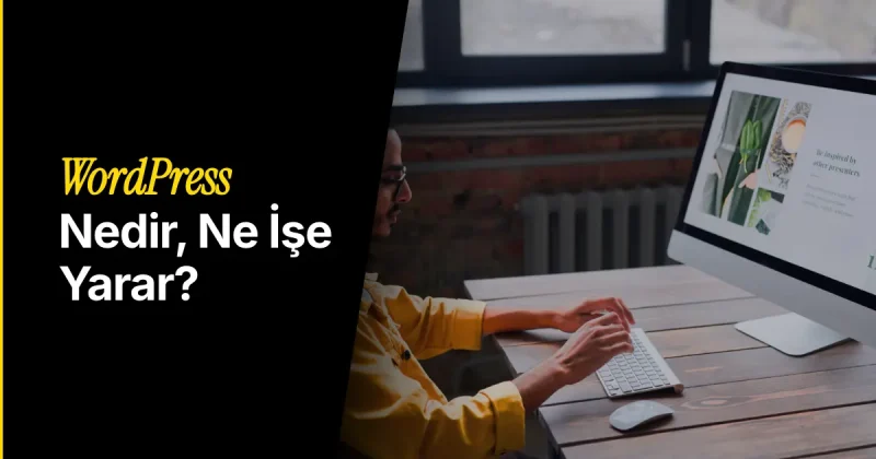 WordPress Nedir? WordPress Ne İşe Yarar?
